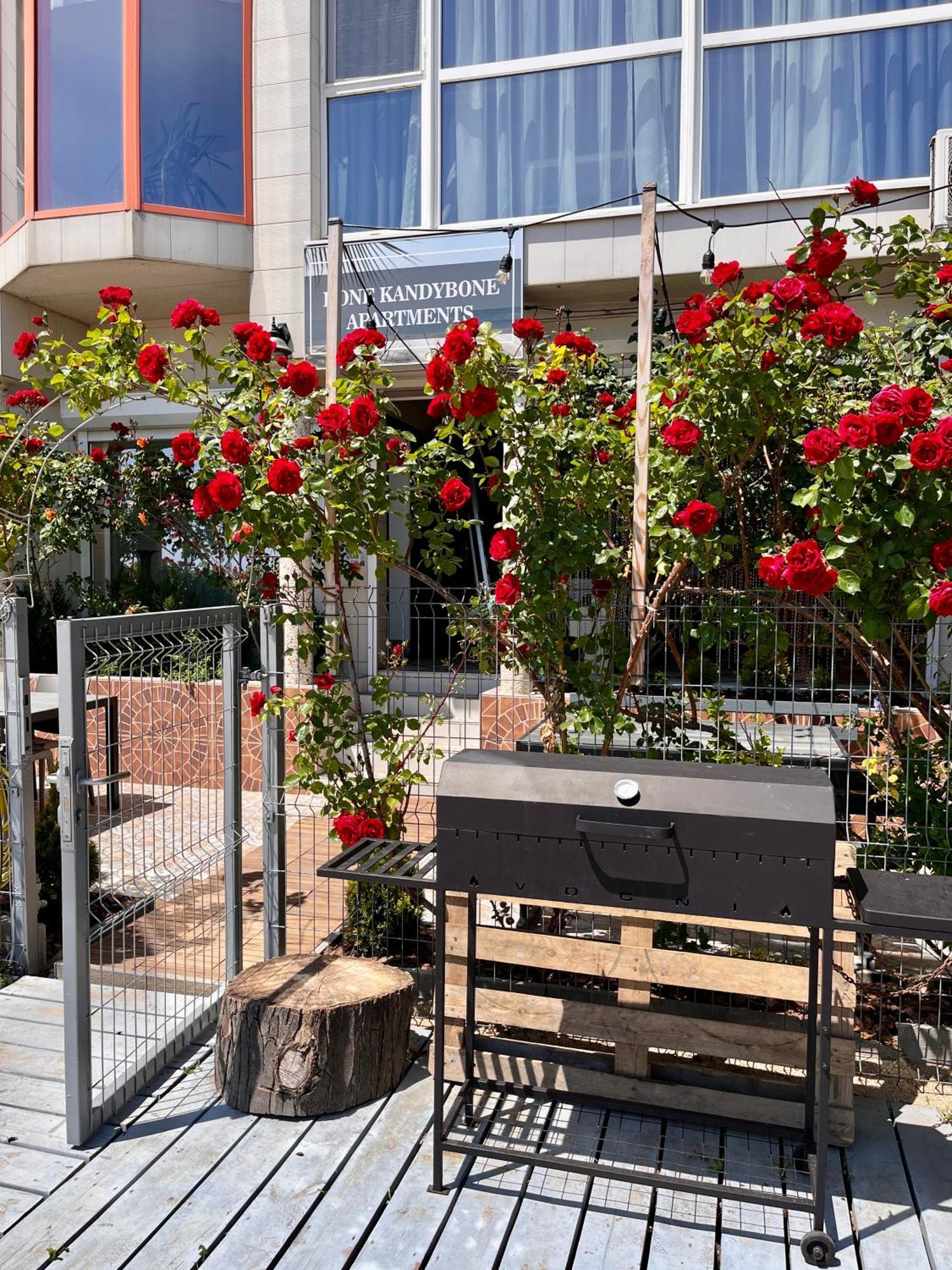 Done Kandybone Apartments Burlach'ya Balka Exterior foto